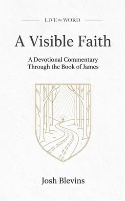 A Visible Faith by Josh Blevins