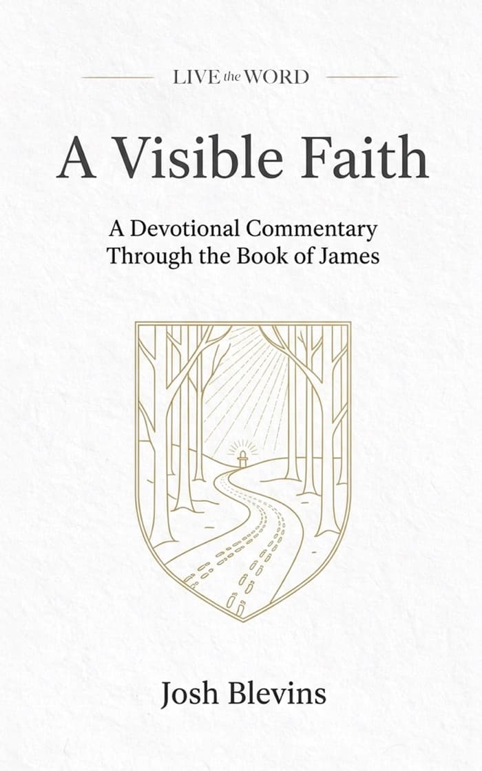 A Visible Faith by Josh Blevins