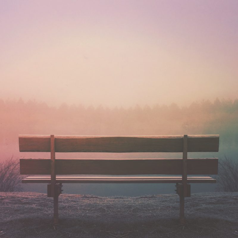 brown wooden bench in field